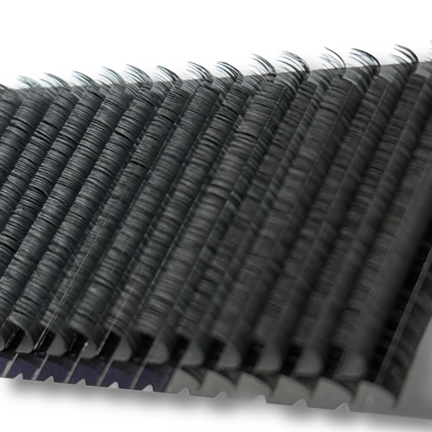 Old Branding Cashmere Lash Trays