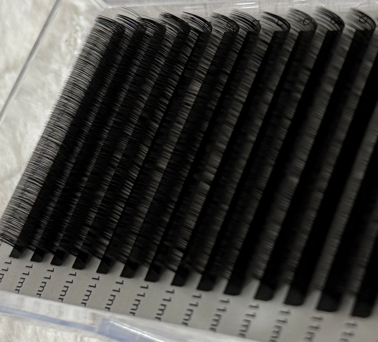 Cashmere Lash Trays |D|