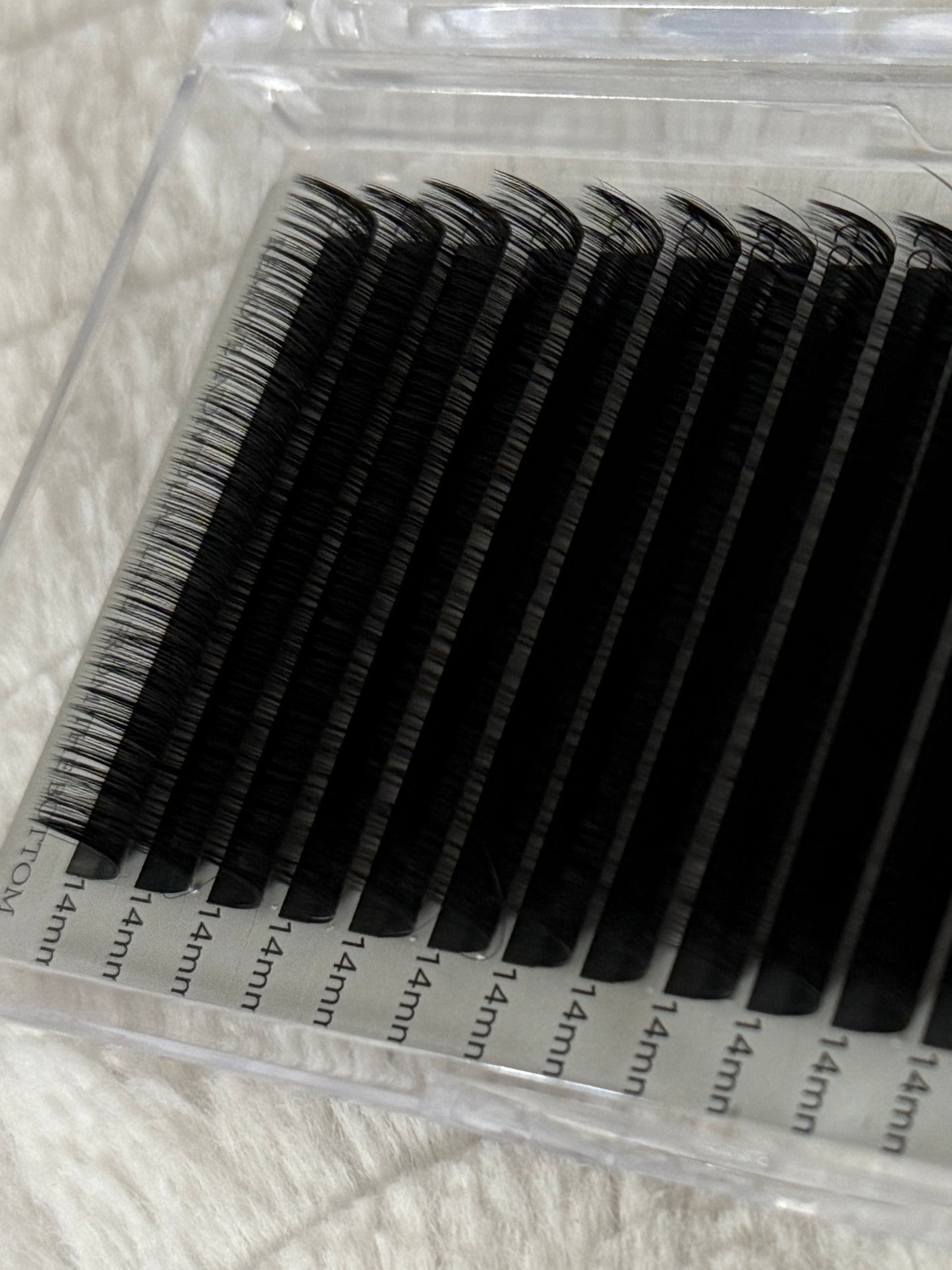 Cashmere Lash Trays |CC|