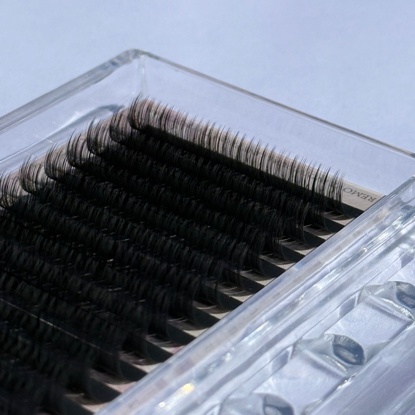 Camellia Lash Trays |D|