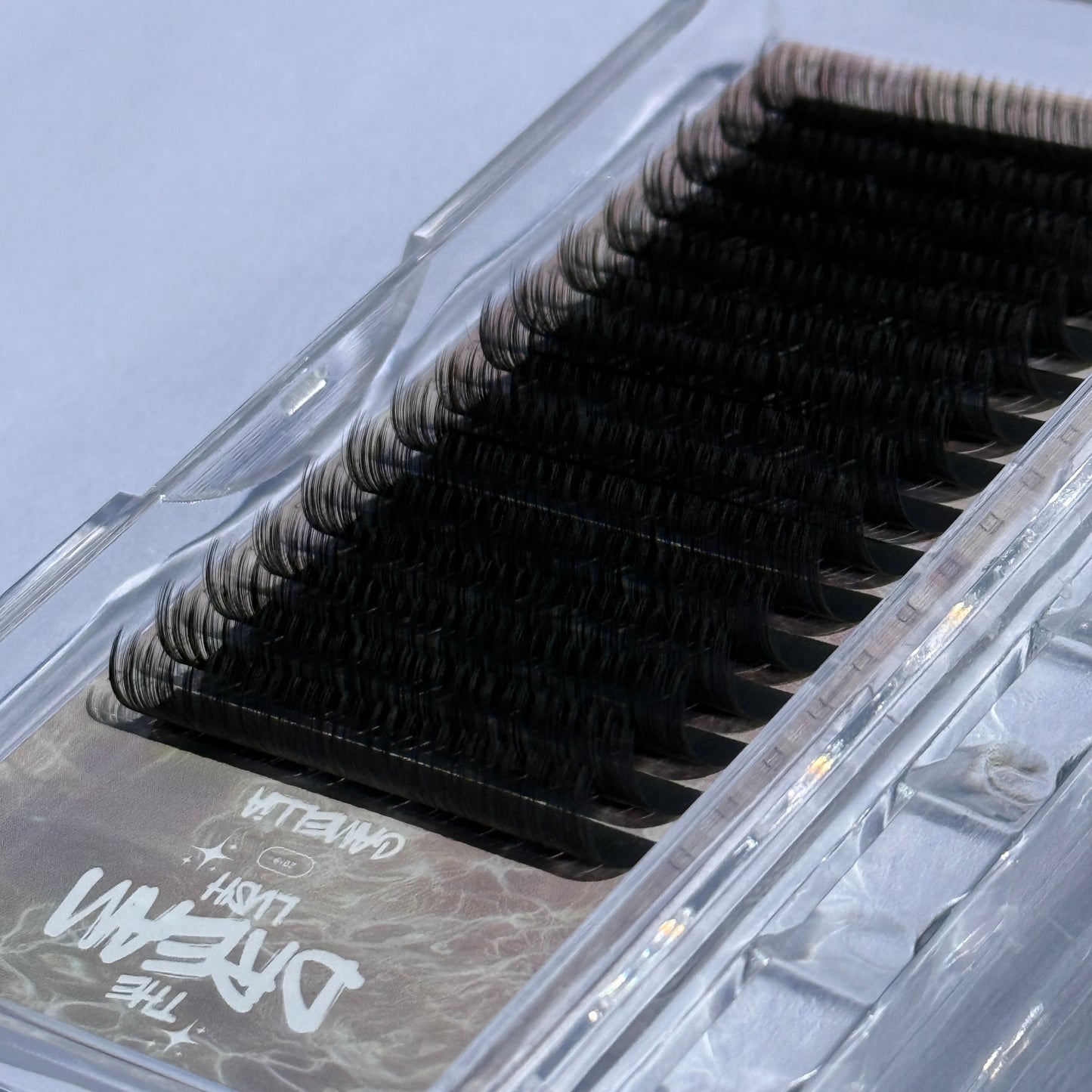 Camellia Lash Trays |D|