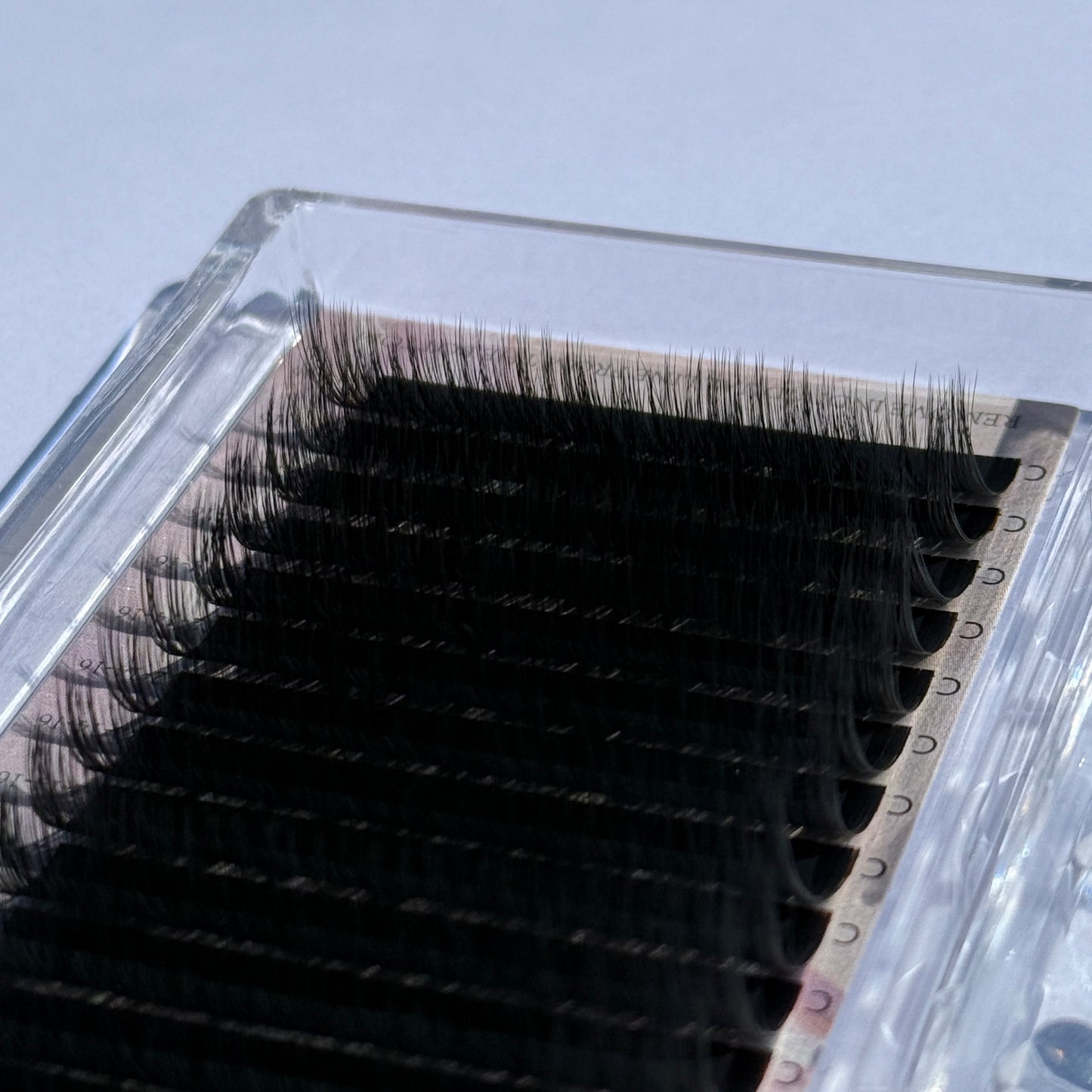 Camellia Lash Trays |C|